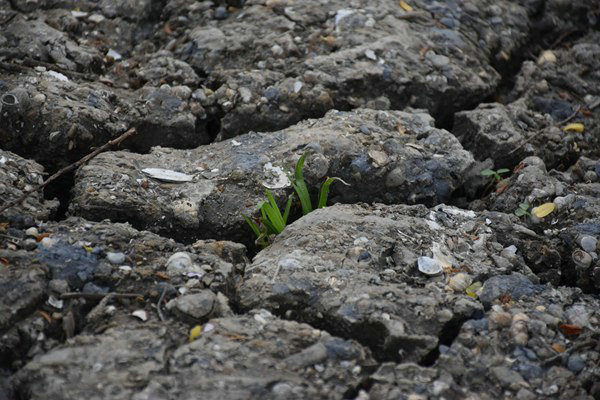 和田地區(qū)全域開展危廢規(guī)范化評估 守護生態(tài)環(huán)境安全