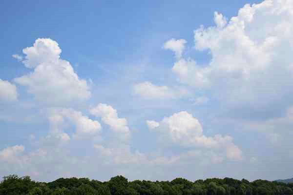 精準“削峰”戰(zhàn)臭氧，全力守護“瓷都藍”