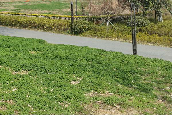 筑牢質量“安全線”！珠海市生態(tài)環(huán)境局等四部門加強建設用地土壤環(huán)境聯動監(jiān)管服務