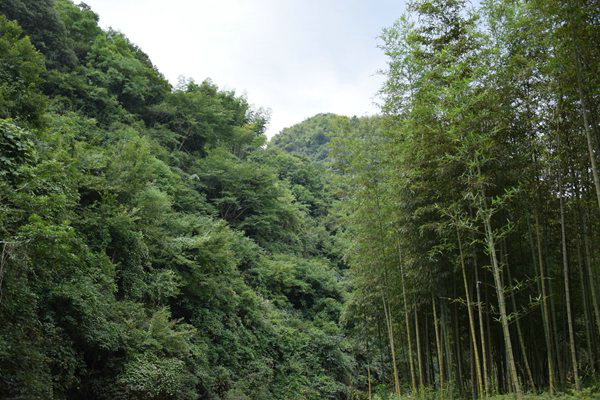 衡水市繪就“藍(lán)天碧水凈土”新畫卷