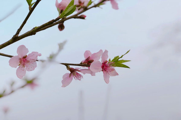 助企精準(zhǔn)治污降本增效，蘇州首個“炭管家”智慧平臺全面推廣